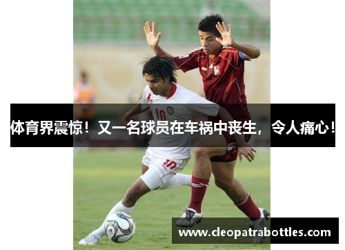 体育界震惊！又一名球员在车祸中丧生，令人痛心！