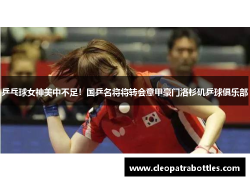 乒乓球女神美中不足！国乒名将将转会意甲豪门洛杉矶乒球俱乐部